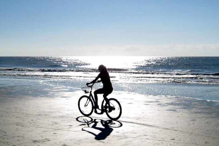 Peddling Pelican The Shops at Sea Pines Center Hilton Head Island