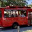 The Charm of the Sea Pines Trolley