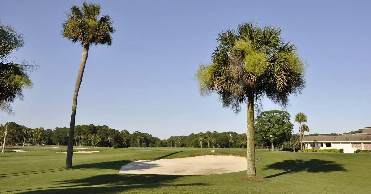 What Made Sea Pines The Golf Resort, Sea Pines Landscaping